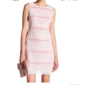 Eliza J. Beautiful Elegant Pink Lace Dress size 2
